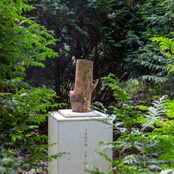 I am a tree in your life