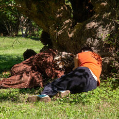 I am a tree in your life