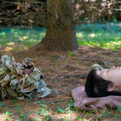 I am a tree in your life