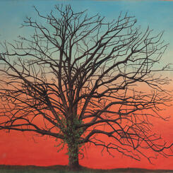 Our Walnut Tree at Dusk