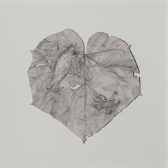 Bird and Dried Hydrangea