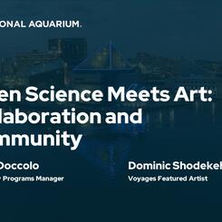 Biocymatics V: Science & Art Reintegration + Public Communication + Methodology Discourses for Voyages presented by Shodekeh & Sarah Gretchen Doccolo at the American Alliance of Museums National Conference, 2024.