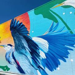 Chesapeake College Cambridge Center, Detail