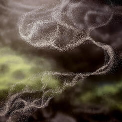 Sometimes You Can't Escape What They Say