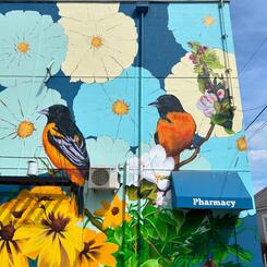 Drug City Pharmacy - detail