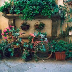 Castiglion Fiorentino, Italy