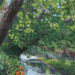 Sycamore over the Falls