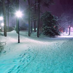 St. Mary's College of Maryland, MD 2005