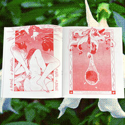 Datura Issue 2 (excerpt)