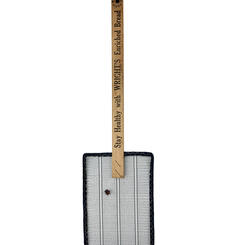 Nine-spotted Lady Beetle