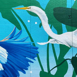 Chesapeake College Cambridge Center, Egret