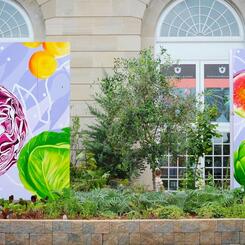 US Botanic Gardens, Mural Panels in Situ