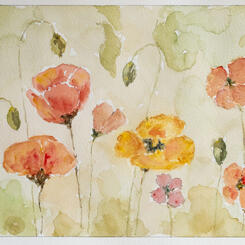 Poppies for Veterans Day