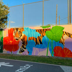 DC Walls 2021, Wide View