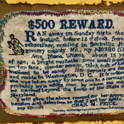 Anne Maria Weems Book Cover detail.jpeg