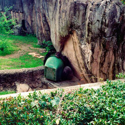 Audobon Zoo, New Orleans, LA