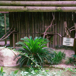 Audobon Zoo, New Orleans, LA