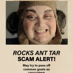 Rocks Ant Tar and friends