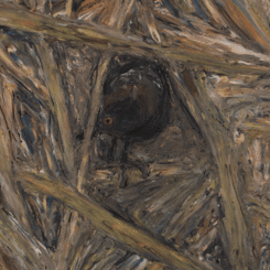 A Black Rail in the marsh grass -- clay on glass animated GIF