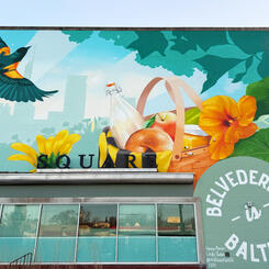 Belvedere Square, Oriole and Picnic Basket