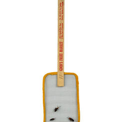 Bethany Beach Firefly