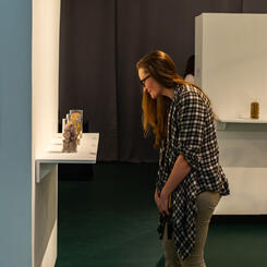 Wild Clay Installation