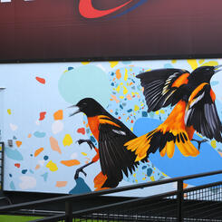 Camden Yards, Full Mural
