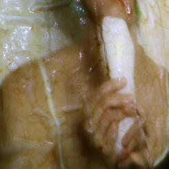 Can I Ever Be Impenetrable (detail)