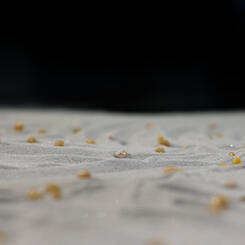 Detail of Uniforms (Value Studies Series) Installation #1