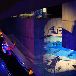 Live Shadow Puppetry