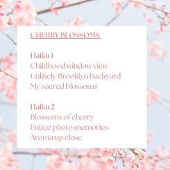 Cherry Blossoms in Brooklyn 