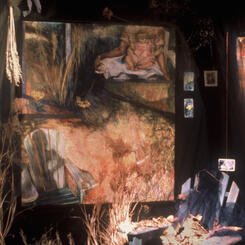 Installation of a Record of Baby's Days, multiple media and found object, Dadian Gallery, 2000