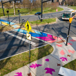 Druid Hill Canopy Crosswalk
