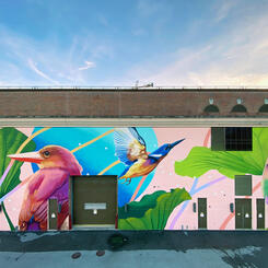 DC Walls 2020, Full Mural