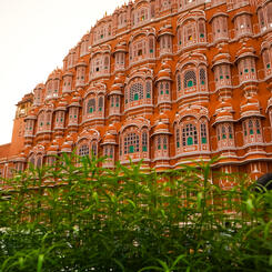 The Mama Mahal in The Pink City