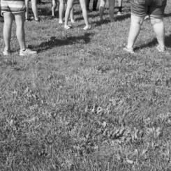 from Landscape After Battle