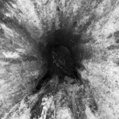 from Landscape After Battle