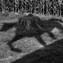 from Landscape After Battle