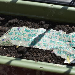 The Dreaming Manifesto- Seed Paper