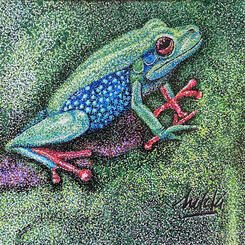 Dotted Forest Frog