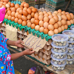 ¿Tenemos suficiente, mamá?