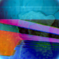 Still from one of the many videos of the installation