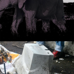 Still from Abandoned Mall Monitor