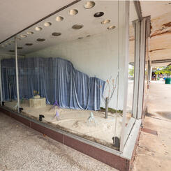 Day-dreaming for Another World 