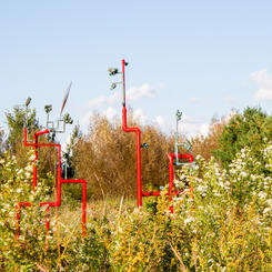 Pleasure in the Confusion of Boundaries II