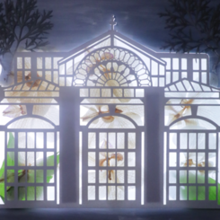 Animated Curiosities - Still from Orchidelerium