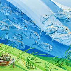 Our Roots Run Deep in the Chesapeake: Menhaden and a female Blue Crab detail