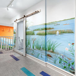 Our Roots Run Deep in the Chesapeake: Chesapeake Marshes