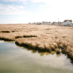 Time Enough To Go #16