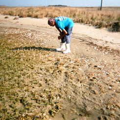 Time Enough To Go #18